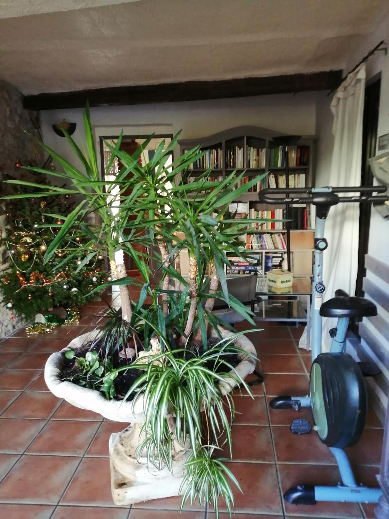 Belle Maison De Caractere Dans Village Et Sa Piscine Privee 7 Pers- 3 Chambres - 12 Rue Emile Zola Millas Exterior foto